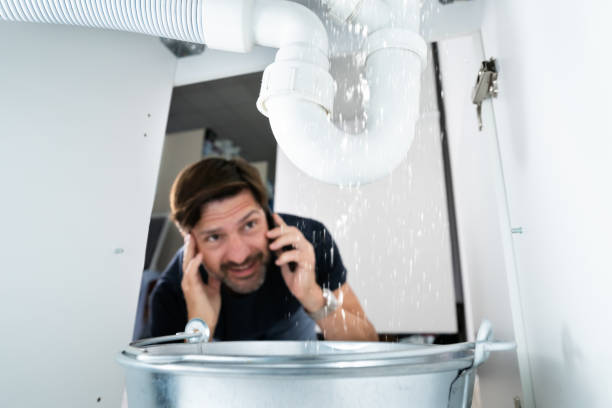 Best Clogged Drain Plumber  in Altoona, WI